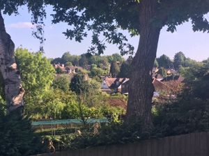 Views from garden- click for photo gallery